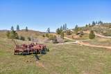 7005 Mountain Ranch Road - Photo 3