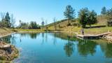 7005 Mountain Ranch Road - Photo 31