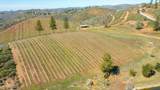 7005 Mountain Ranch Road - Photo 35