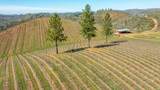 7005 Mountain Ranch Road - Photo 36