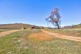 7005 Mountain Ranch Road - Photo 38