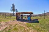 7005 Mountain Ranch Road - Photo 40