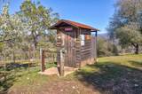 7005 Mountain Ranch Road - Photo 49