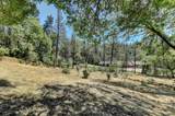 10061 Alta Sierra Drive - Photo 15