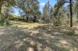 10061 Alta Sierra Drive - Photo 19