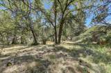 10061 Alta Sierra Drive - Photo 22