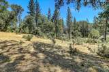 10061 Alta Sierra Drive - Photo 47