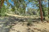 10061 Alta Sierra Drive - Photo 49