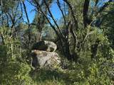 14210 Perimeter Road - Photo 36