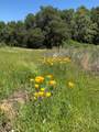14210 Perimeter Road - Photo 39