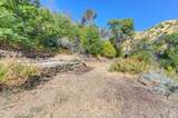 2985 Mix Canyon Road - Photo 20