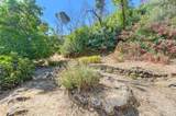 2985 Mix Canyon Road - Photo 21