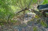 2985 Mix Canyon Road - Photo 23