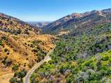 2985 Mix Canyon Road - Photo 31