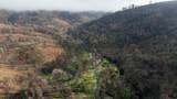 0 Six Bit. Gulch Rd - Photo 3