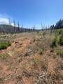 10141 Grizzly Flat Road - Photo 4