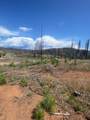 10141 Grizzly Flat Road - Photo 5