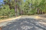 10973 Rough And Ready Highway - Photo 3