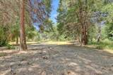 10973 Rough And Ready Highway - Photo 4