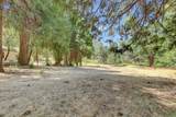 10973 Rough And Ready Highway - Photo 5