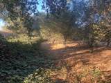 0 Meyer Lane - Photo 4
