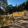 18307 Oak Tree Road - Photo 10
