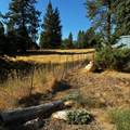 18307 Oak Tree Road - Photo 9
