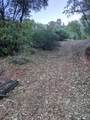 13417 Hallwood Place - Photo 16