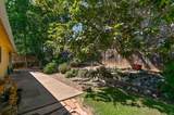 735 Live Oak Drive - Photo 51