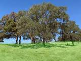 3 Zorro Road - Photo 9