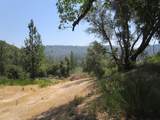 24271 Hoyt Crossing Road - Photo 26
