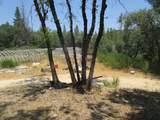 24271 Hoyt Crossing Road - Photo 31