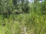 24271 Hoyt Crossing Road - Photo 32