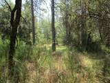 24271 Hoyt Crossing Road - Photo 33