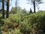 24271 Hoyt Crossing Road - Photo 35
