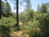 24271 Hoyt Crossing Road - Photo 36