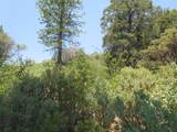 24271 Hoyt Crossing Road - Photo 37