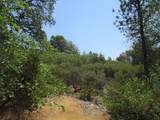 24271 Hoyt Crossing Road - Photo 38