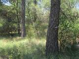 24271 Hoyt Crossing Road - Photo 39