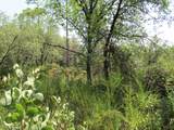 24271 Hoyt Crossing Road - Photo 40