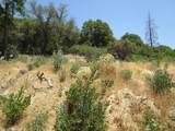 24271 Hoyt Crossing Road - Photo 41