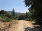 24271 Hoyt Crossing Road - Photo 42