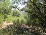 24271 Hoyt Crossing Road - Photo 43