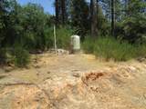 24271 Hoyt Crossing Road - Photo 44