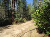 24271 Hoyt Crossing Road - Photo 49