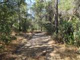 24271 Hoyt Crossing Road - Photo 50