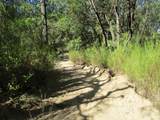 24271 Hoyt Crossing Road - Photo 51