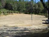 24271 Hoyt Crossing Road - Photo 61