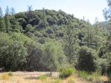 24271 Hoyt Crossing Road - Photo 64
