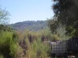 24271 Hoyt Crossing Road - Photo 66